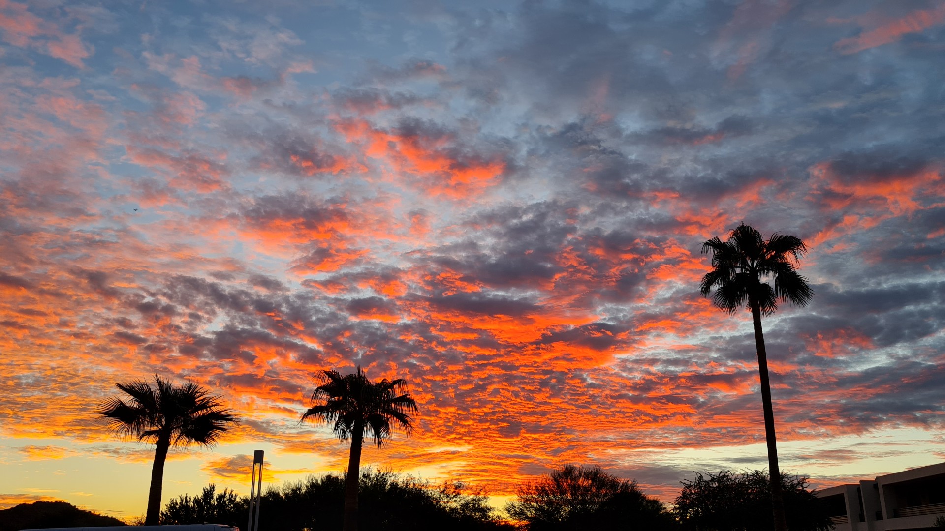 Sonnenaufgang in Scottsdale — Foto: Christiane Reitshammer
