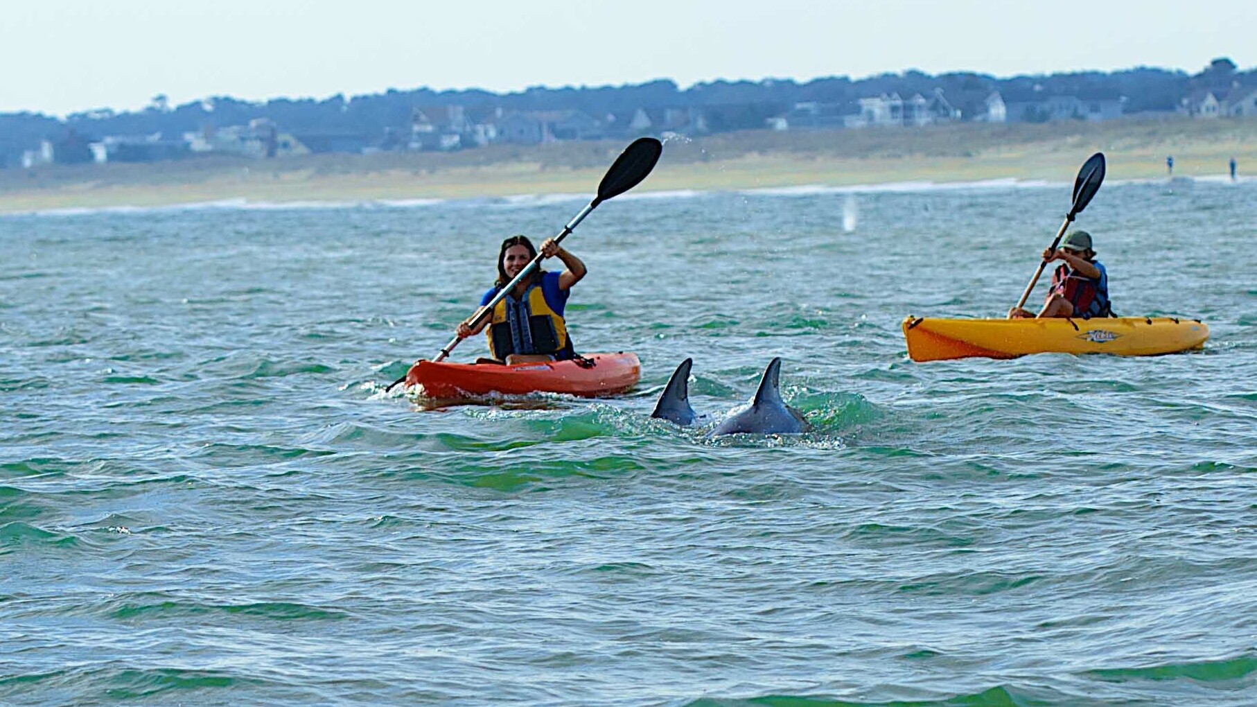 Kajaktour mit Delfinen in Virginia Beach — Foto: Virginia Beach CVB