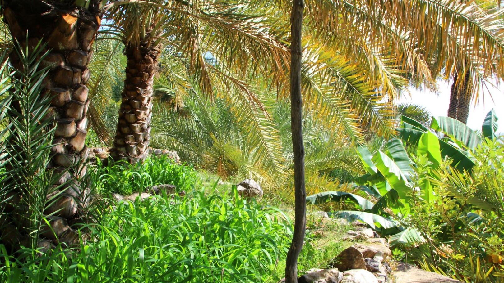 Wanderweg in Misfat Al Abriyeen — Foto: Ministry of Heritage & Tourism Sultanate of Oman