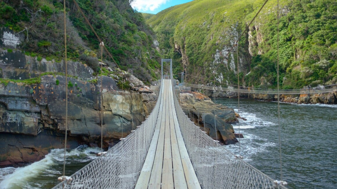 Brücke im Tsitsikamma Nationalpark  — Foto: AdobeStock via Sunny Cars