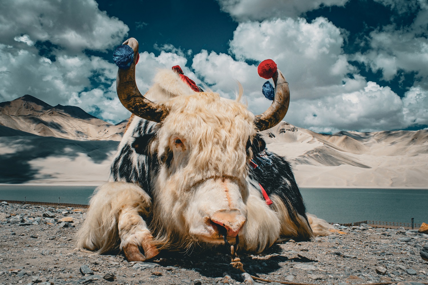 Im Pamir-Hochgebirge — Foto: Sten Bernhardt / Eberhardt TRAVEL