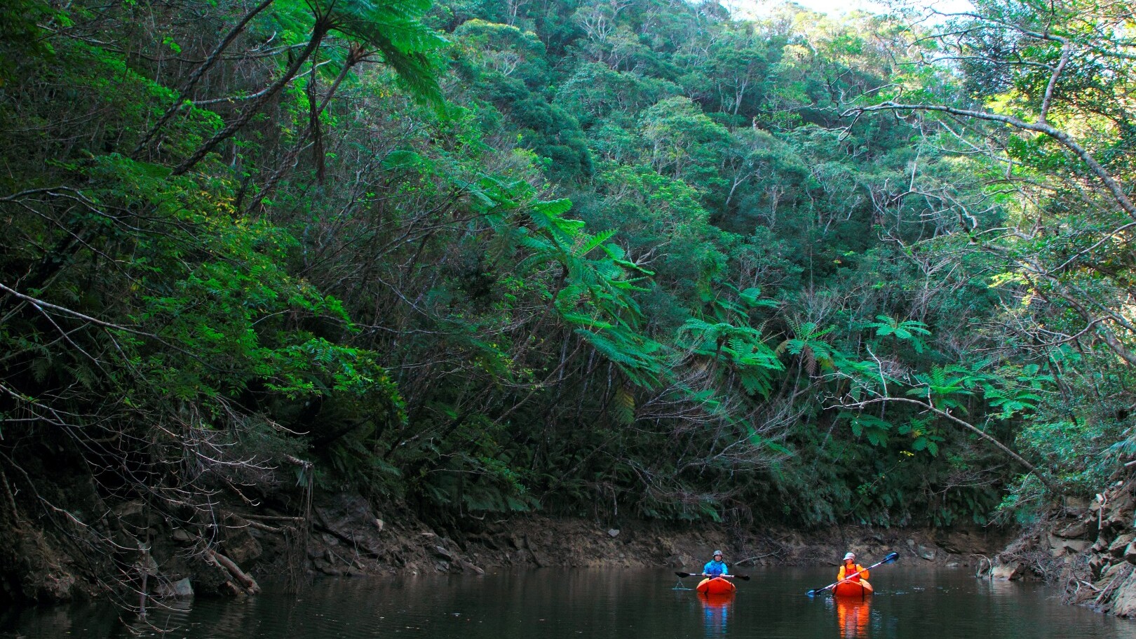 Yambaru Nationalpark — Foto: Okinawa Convention & Visitors Bureau