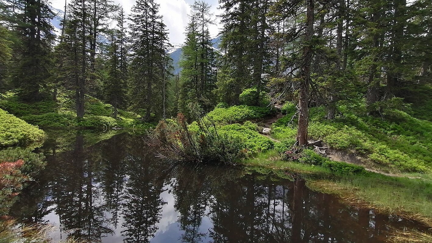 Rauristal in den Hohen Tauern — Foto: Martha Steszl