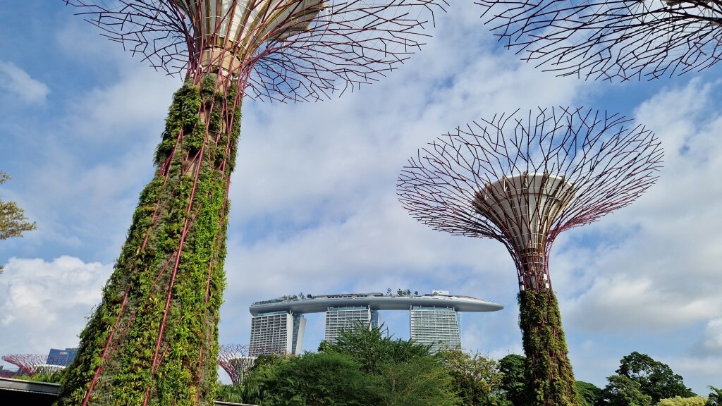 „Super Trees“ in Gardens by the Bay &mdash; Foto: Dieter Putz