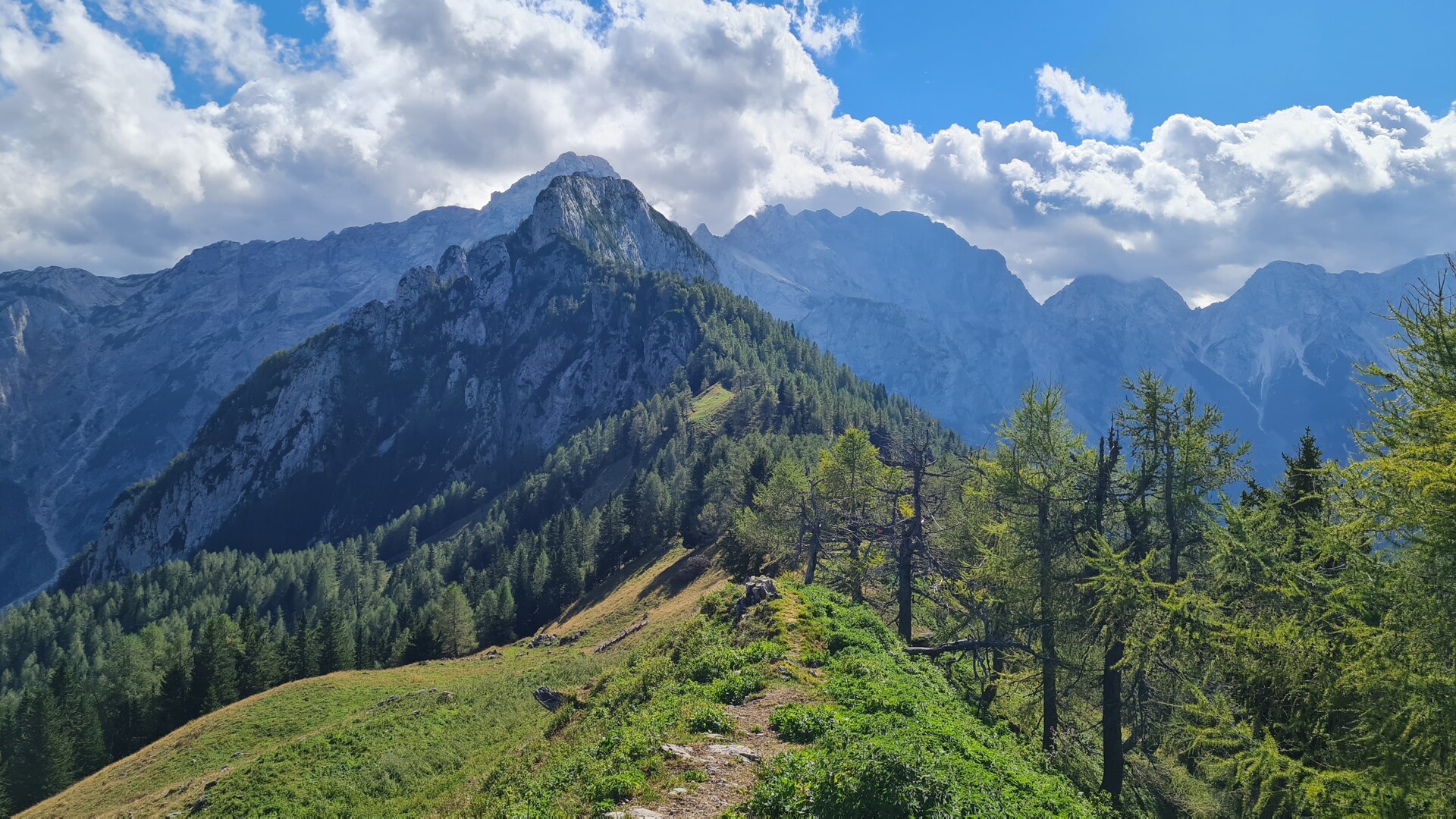 Am Gipfel des Strelovec, Blick in die Kamniško-Savinjske Alpe — Foto: Christiane Reitshammer
