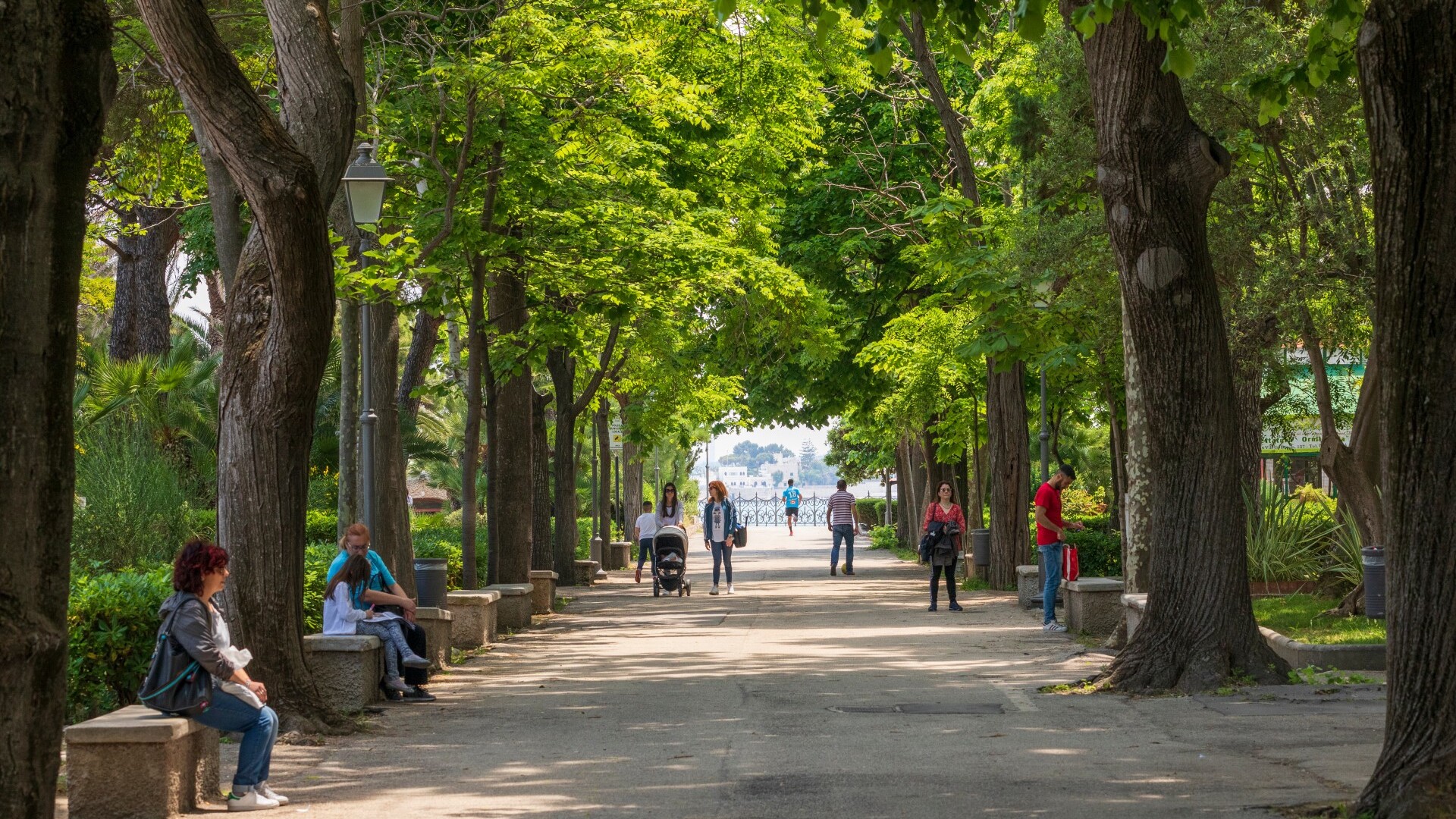 Promenade im Stadtpark — Foto: Shutterstock / Emily Marie Wilson