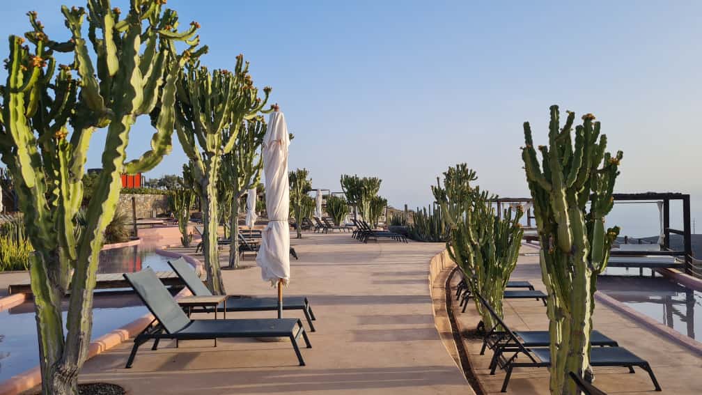 Sonne tanken auf Gran Canaria — Foto: Christiane Reitshammer