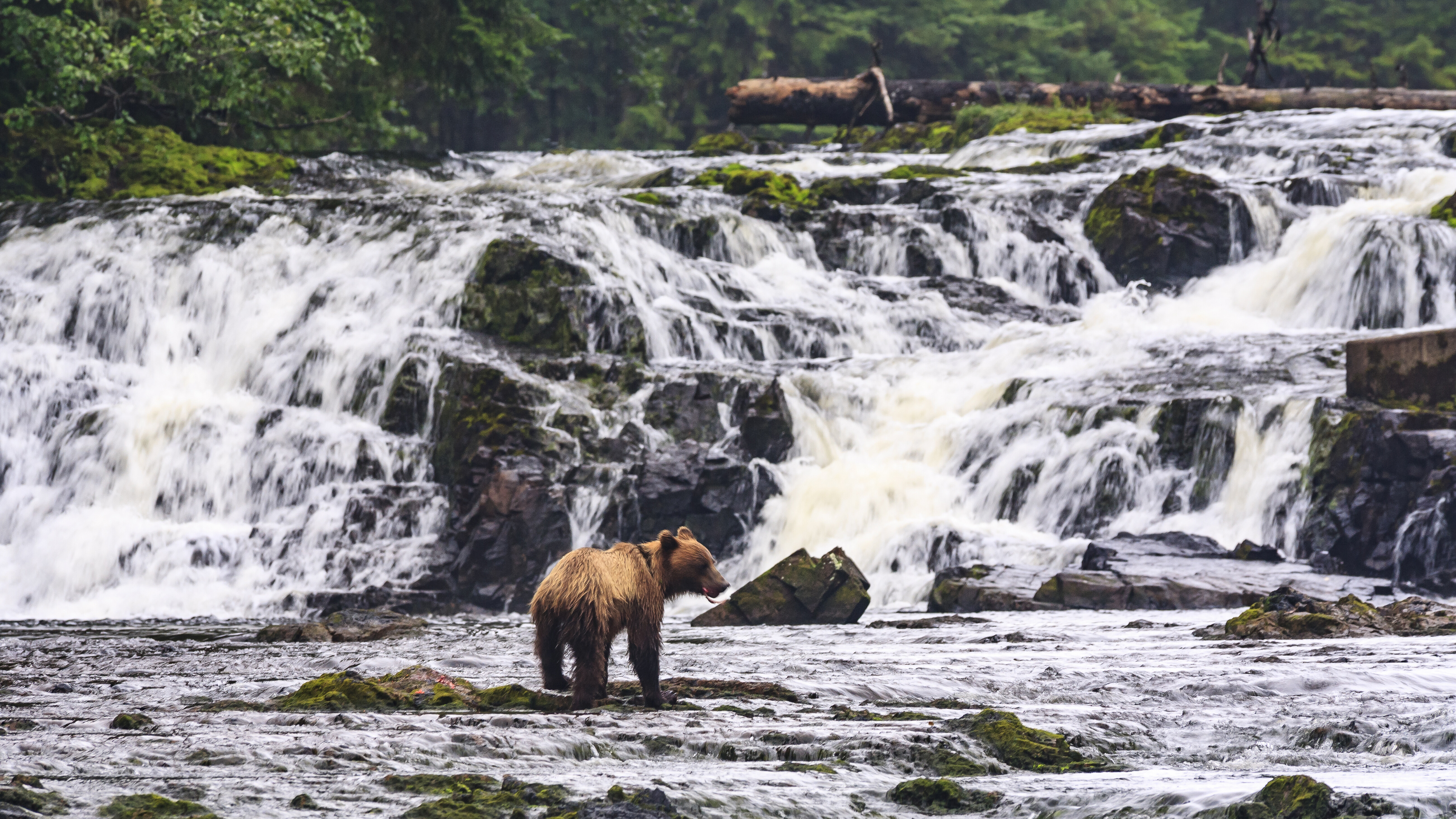 Alaska Inside Passage — Foto: Oceania Cruises