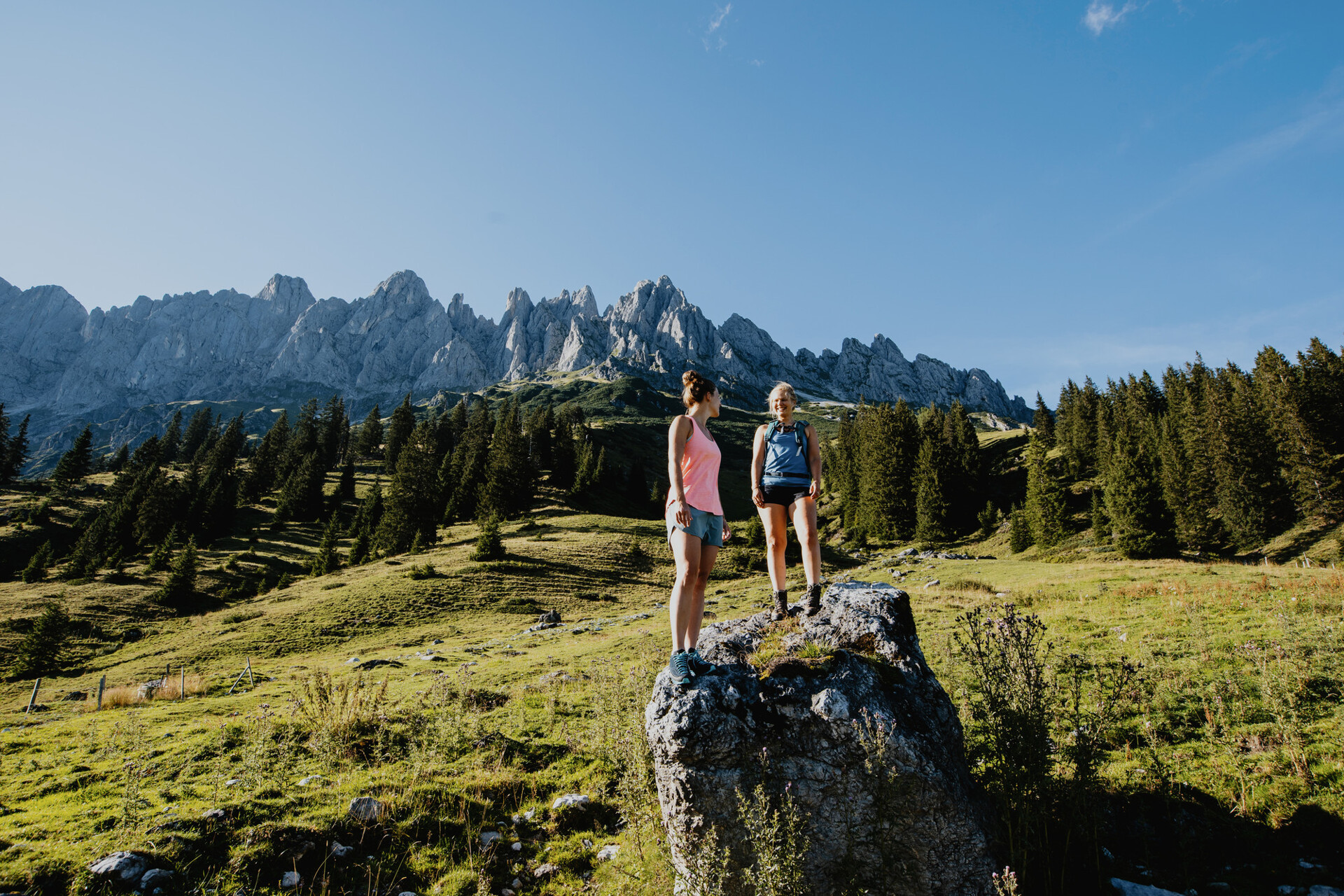 Hochkönig Almenweg — Foto: SalzburgerLand Tourismus