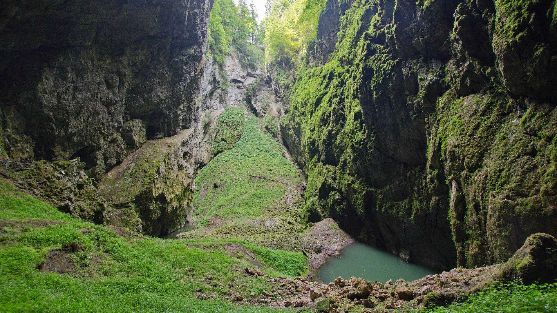 Macocha Schlucht — Foto: Dziurek / Shutterstock