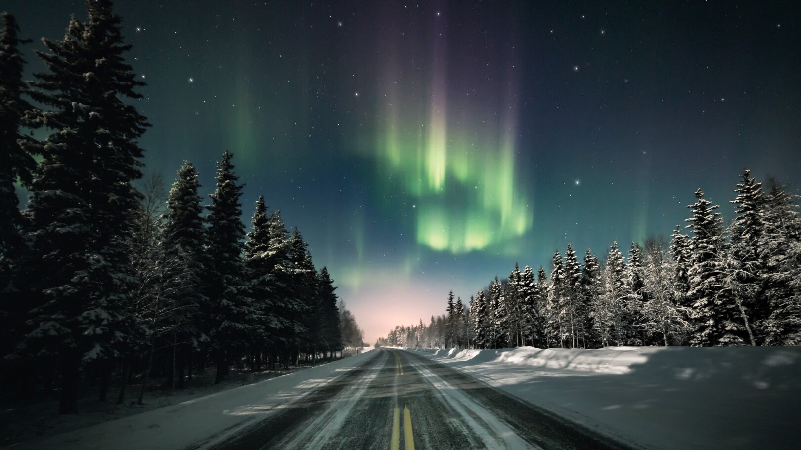 Polarlichter im Norden — Foto: AdobeStock via Sunny Cars 