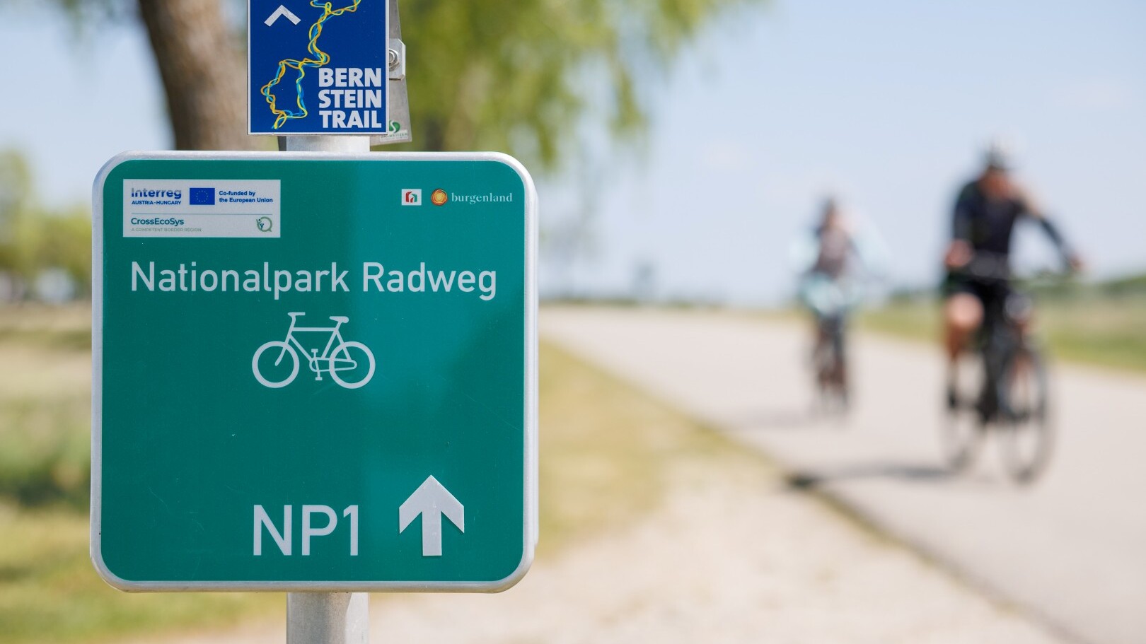 Der neue Nationalpark Radweg &mdash; Foto: Burgenland Tourismus / Maria Hollunder