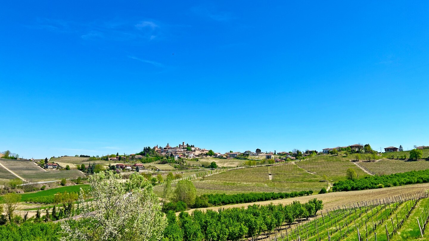 Piemonts Weinberge — Foto: Eurobike