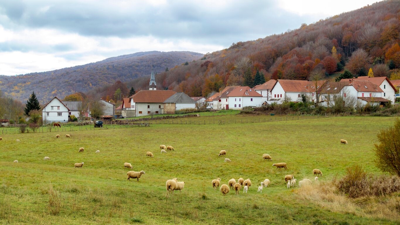 Valle de Aezkoa  — Foto: Francis Vaquero / Turismo de Navarra 