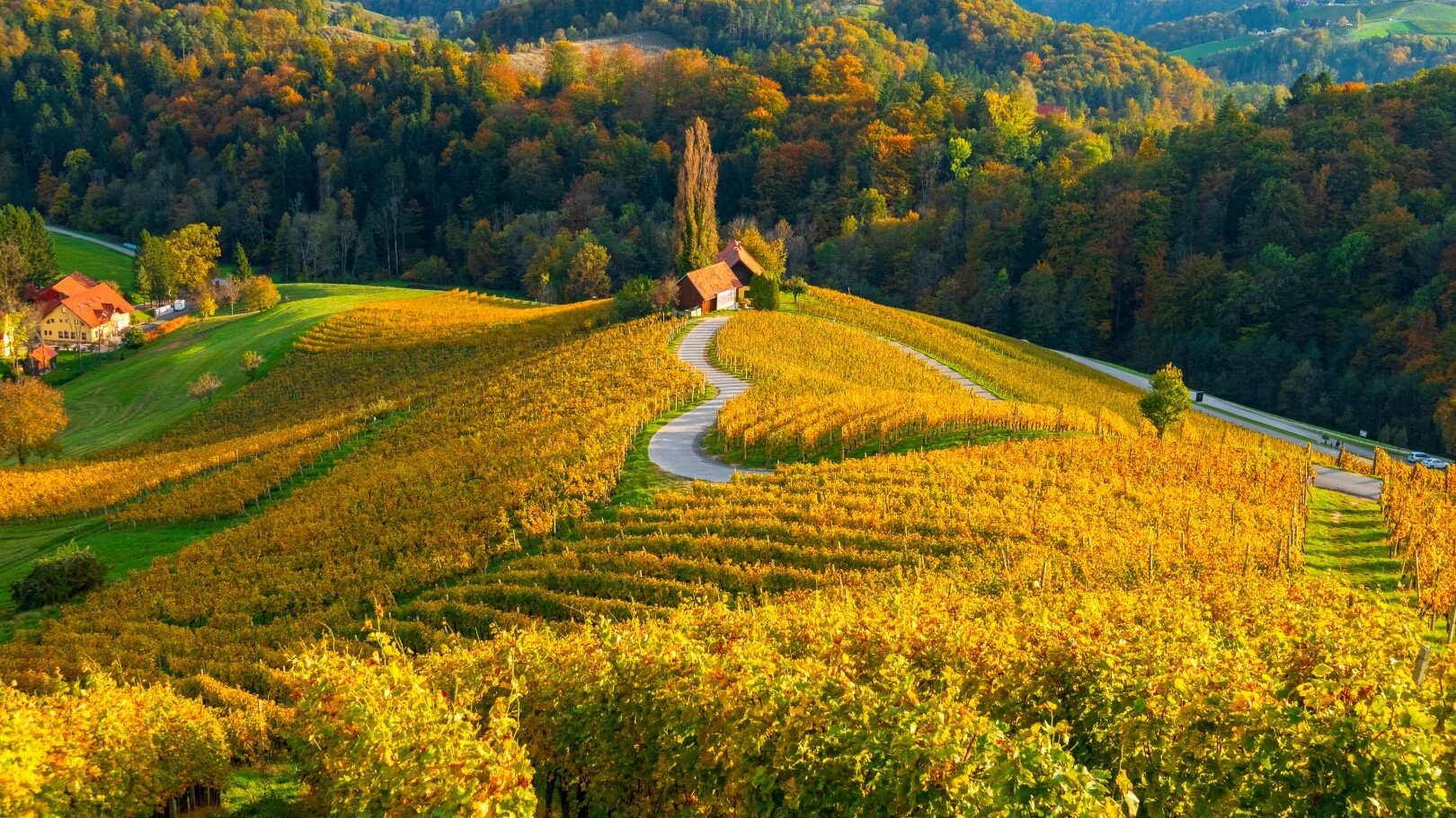 Slowenien, Herzerlstraße — Foto: AdobeStock - bereitgestellt von Sunny Cars