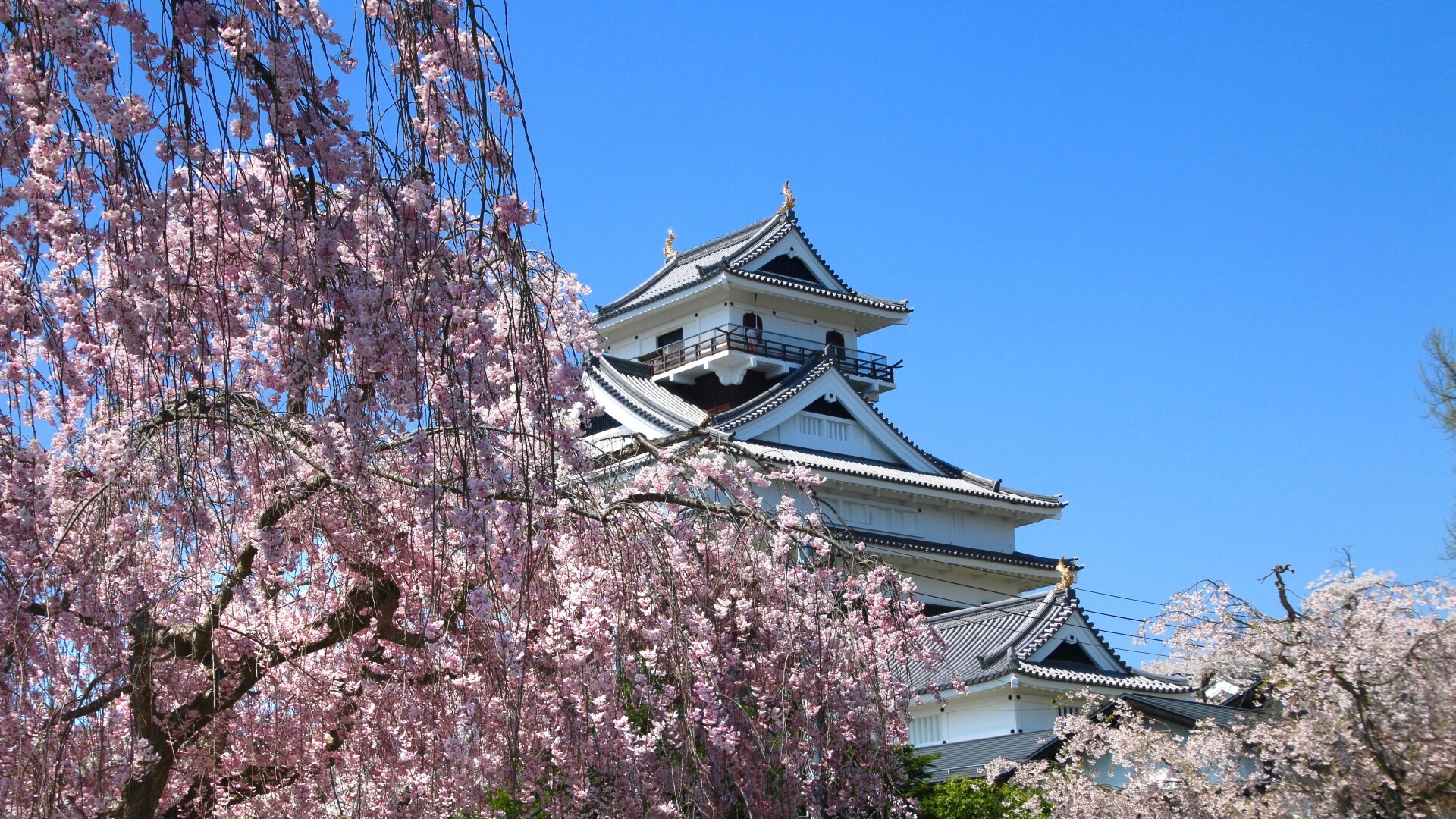 Burg Kaminoyama
— Foto: Musashi2001 / shutterstock.com