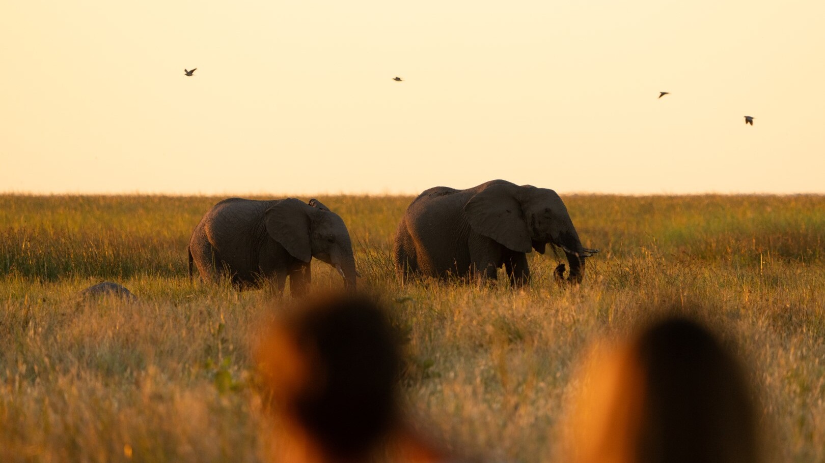 Wilderness Mokete in Botswana — Foto: Wilderness 