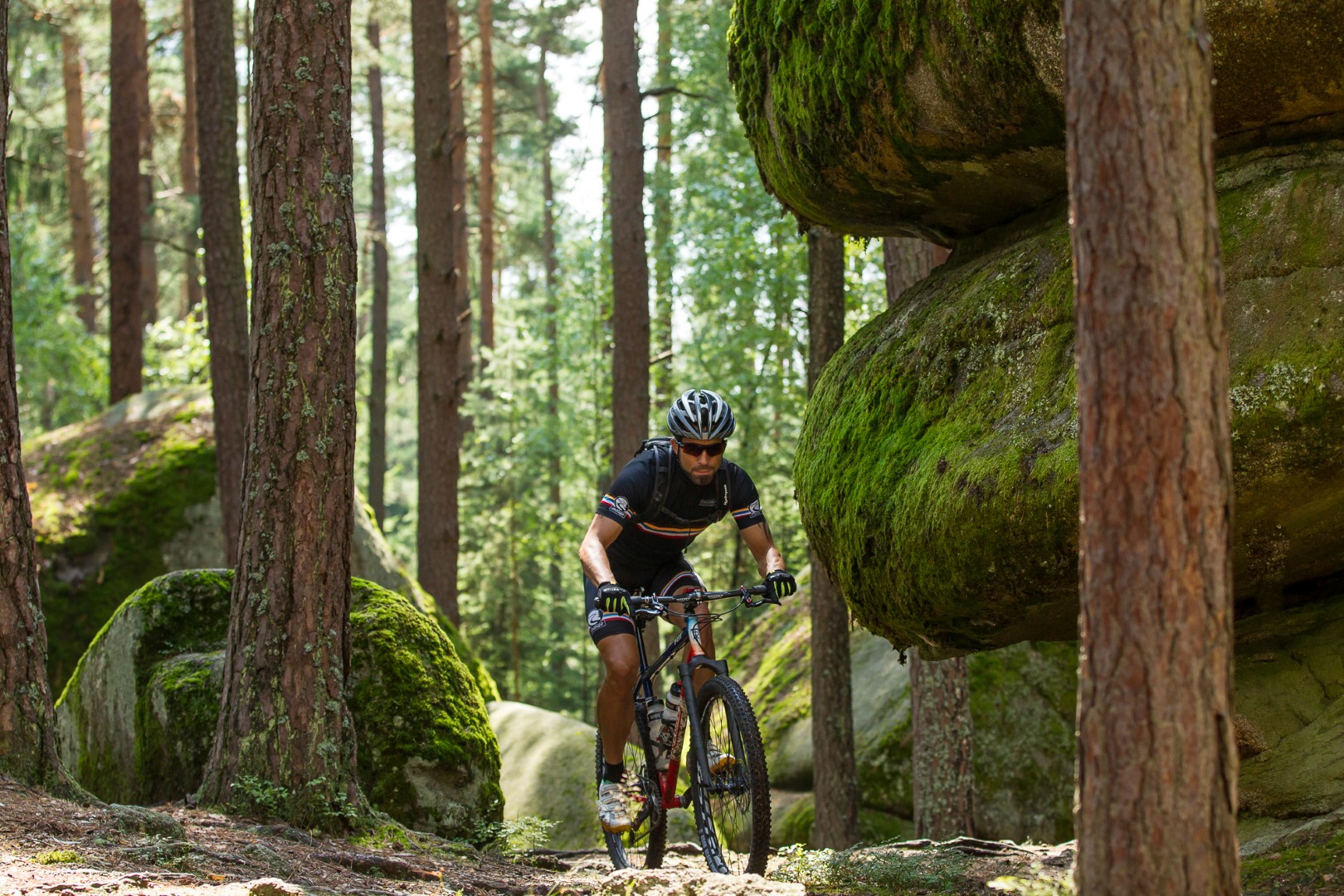 Granittrail im Waldviertel
— Foto: Waldviertel Tourismus / Erwin Haiden