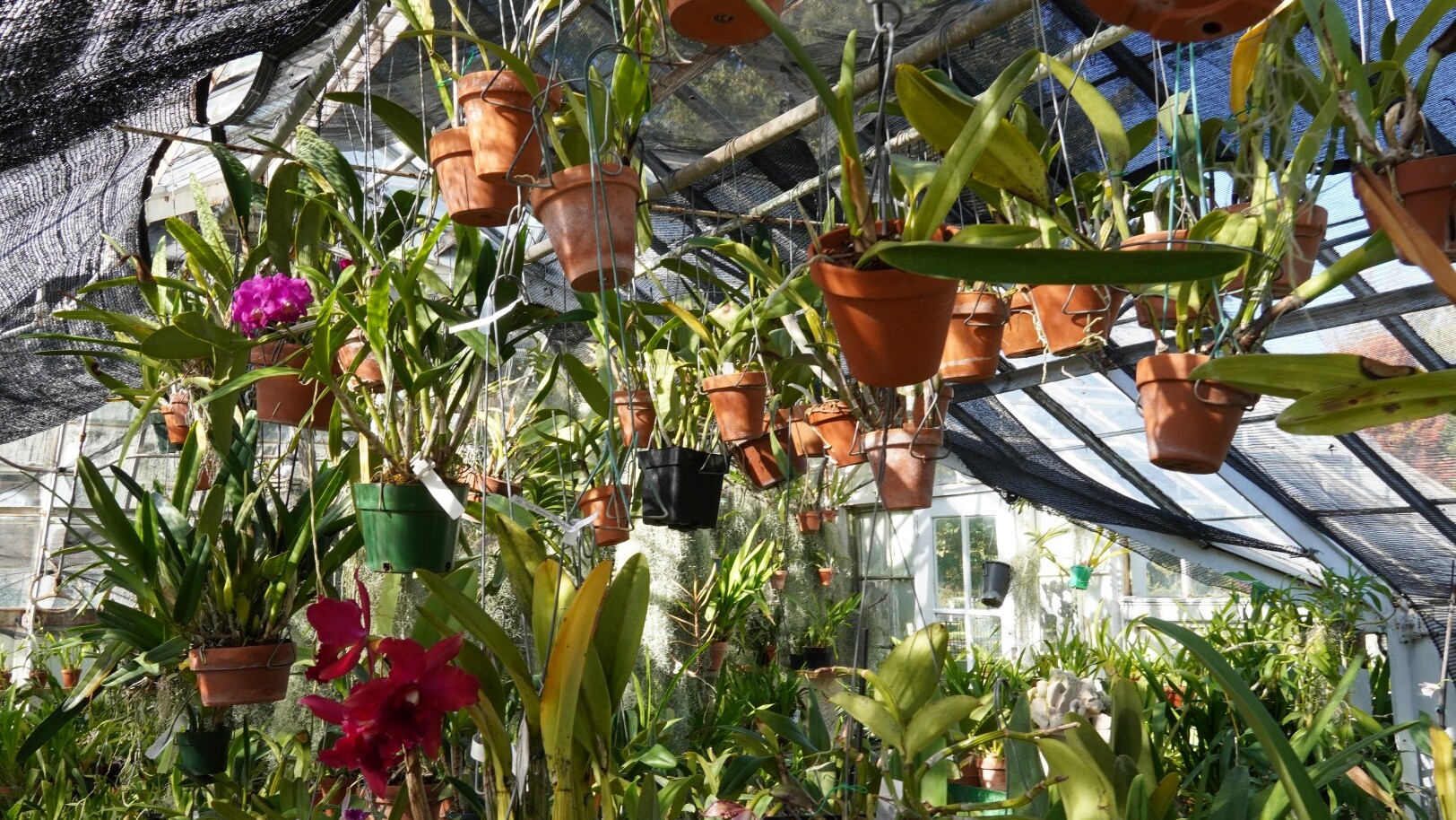 Sonnenberg Gardens — Foto: Christiane Reitshammer