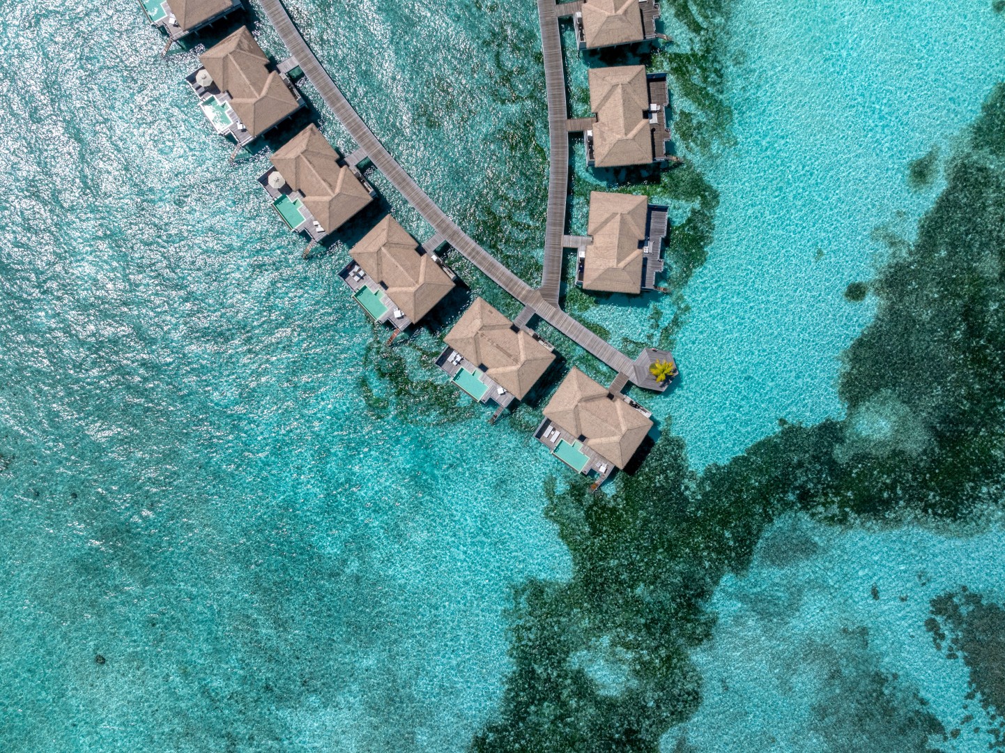 Noku Maldives, Vignette Collection  &mdash; Foto: Noku Maldives, Vignette Collection 