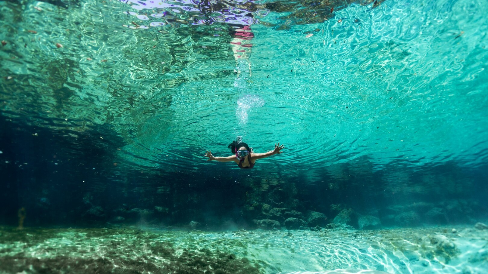 Crystal River — Foto: Visit Florida