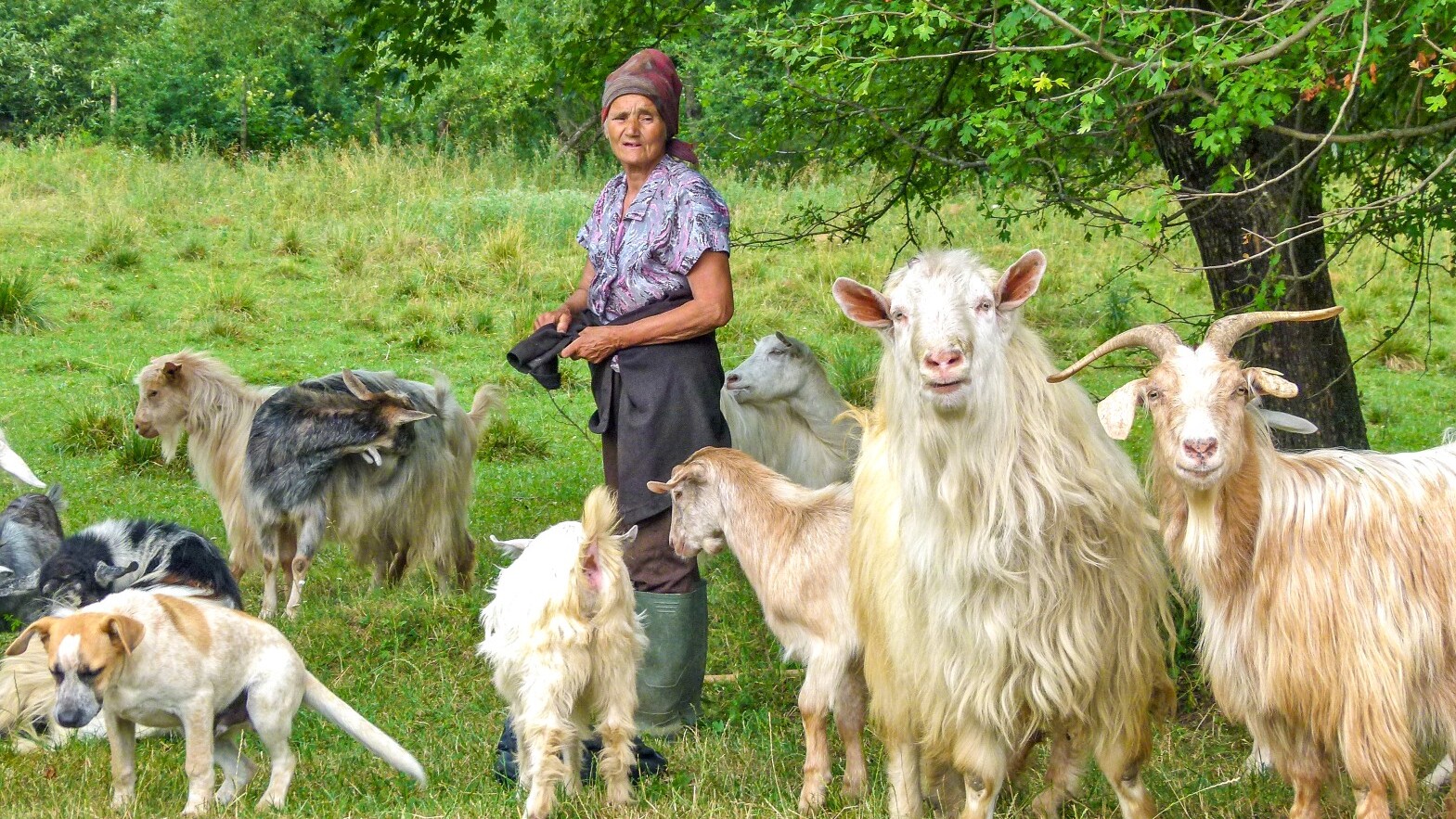 Natur, Kultur und Alltag in Siebenbürgen  &mdash; Foto: Weltweitwandern
