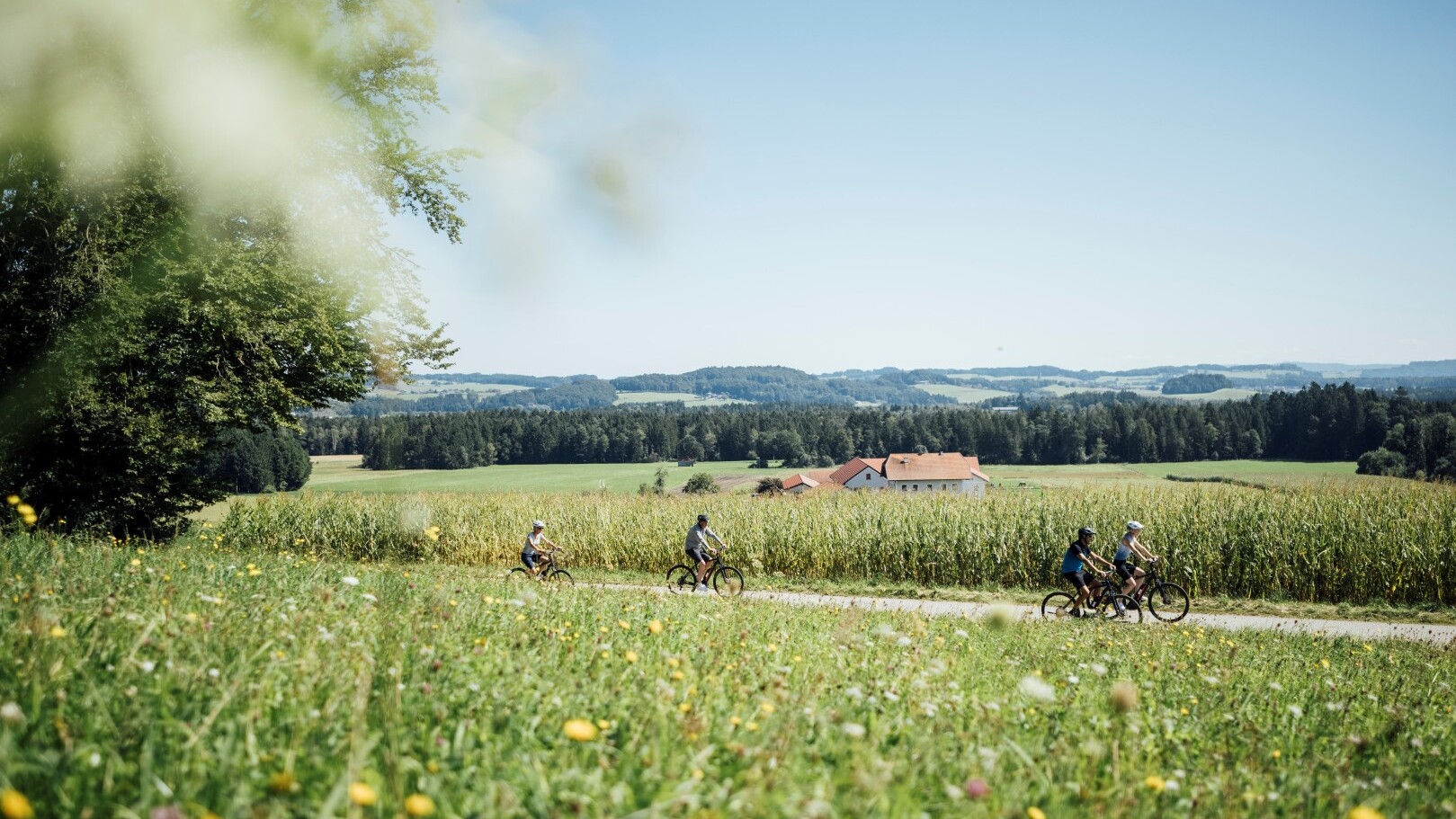 Radeln im Entdeckerviertel &mdash; Foto: Oberösterreich Tourismus / Quellenviertel / TomSon