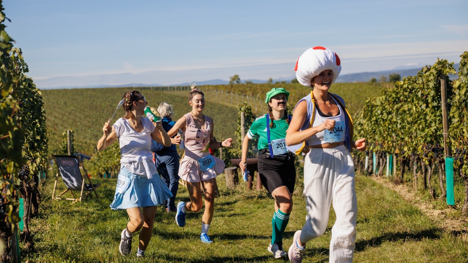 Blaufränkisch Marathon 2025 &mdash; Foto: Burgenland Tourismus / Maria Hollunder  