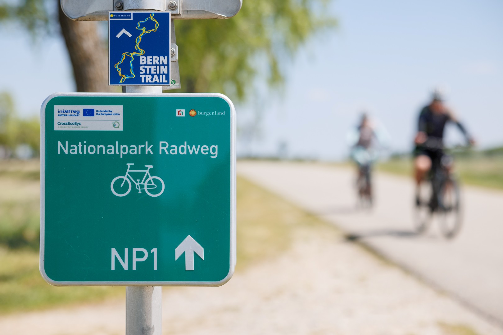 Der neue Nationalpark Radweg &mdash; Foto: Burgenland Tourismus / Maria Hollunder