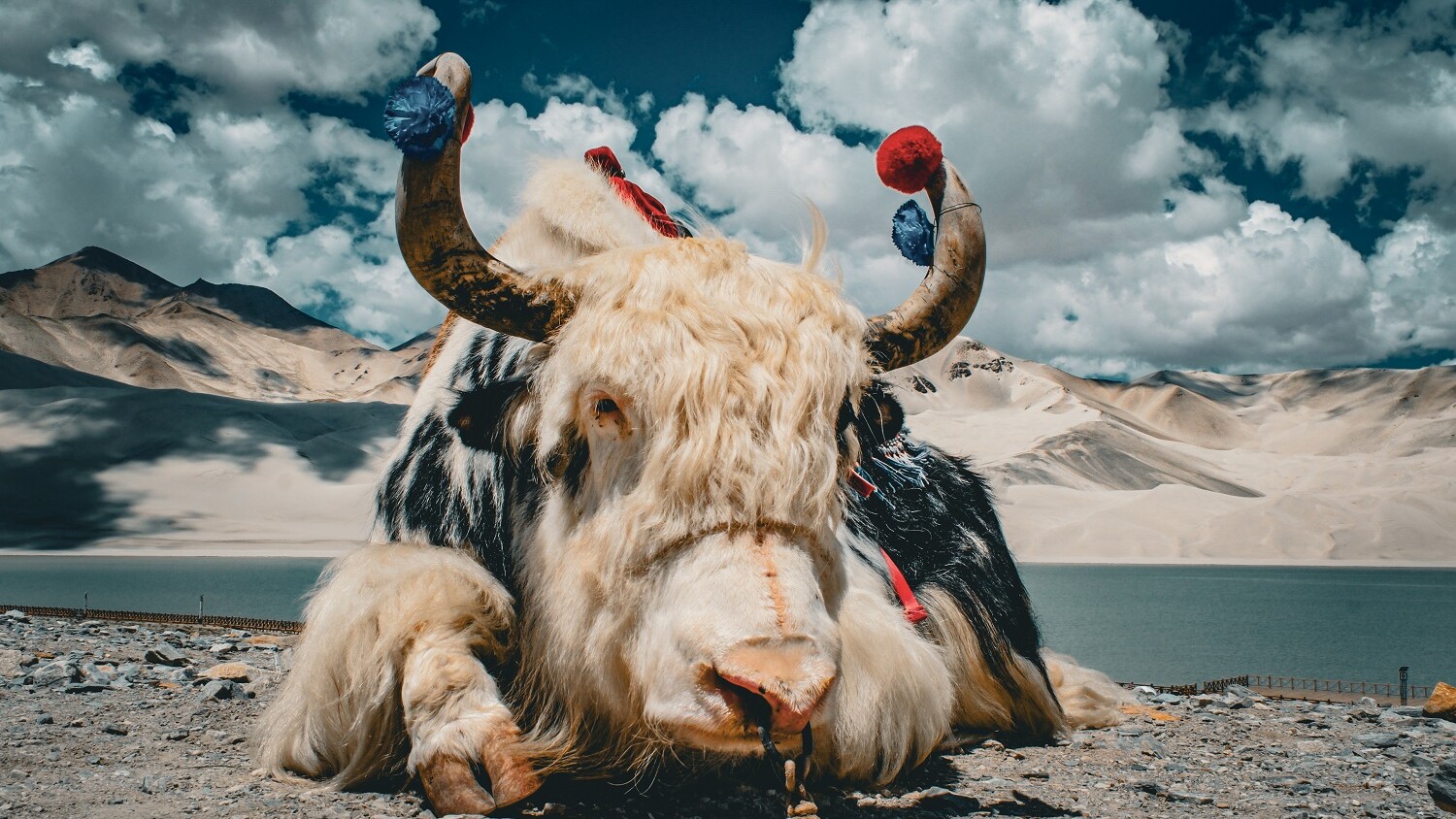 Im Pamir-Hochgebirge — Foto: Sten Bernhardt / Eberhardt TRAVEL