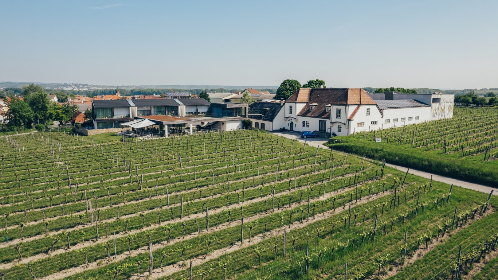 Weingut und Hotel Malat, Furth — Foto: Niederösterreich Werbung / Ian Ehm
