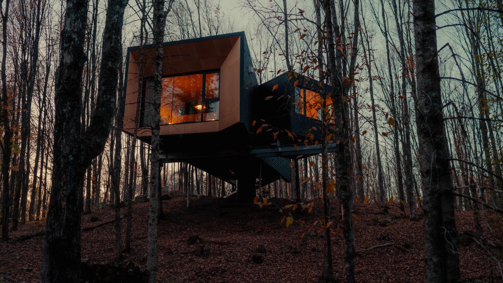 Baumhaushotel Hårtwood &mdash; Foto: Ian Patterson