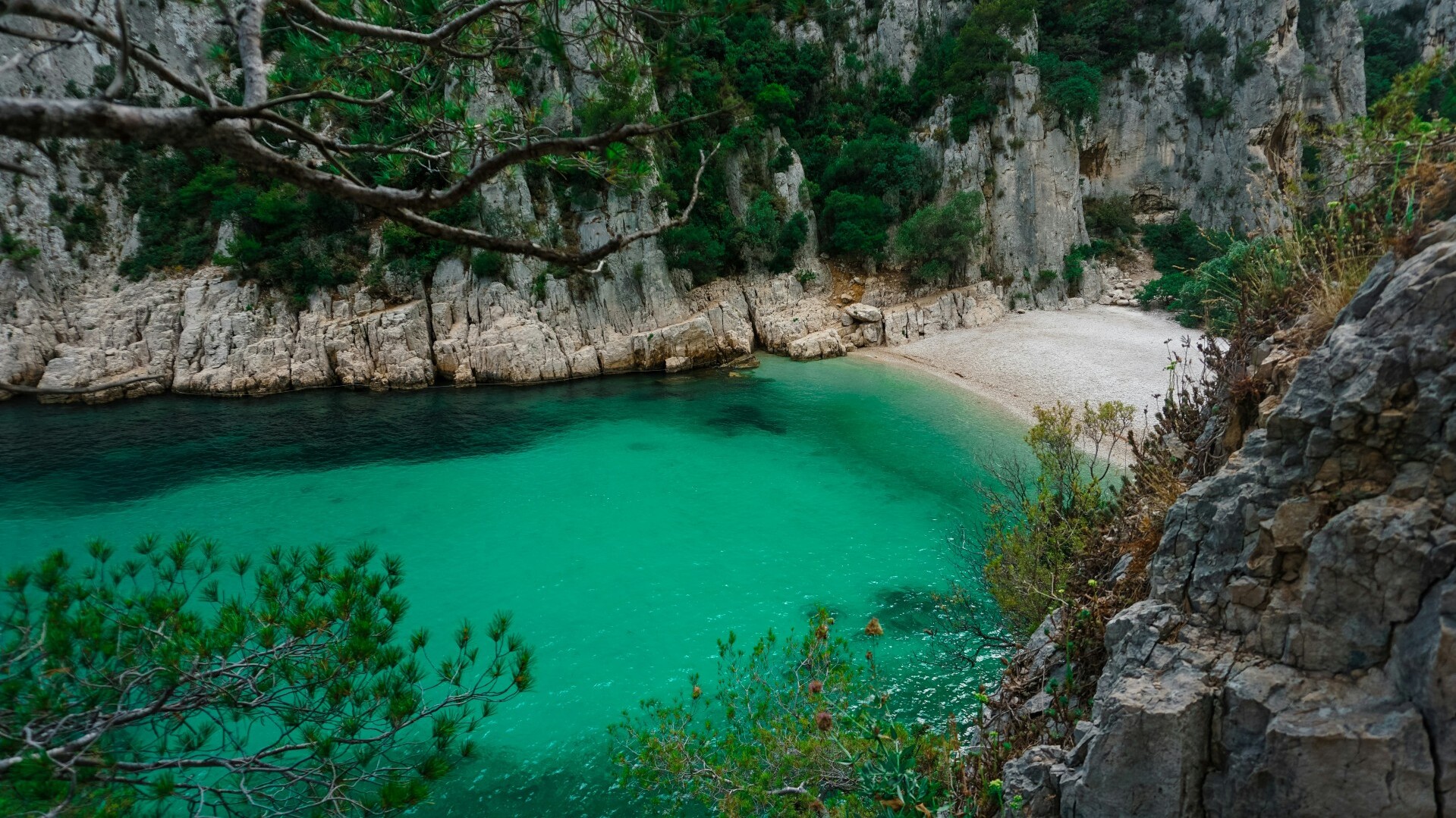 Bucht bei Cassis   — Foto: Unsplash/Manuel Rheinschmidt - bereitgestellt von MSC Cruises