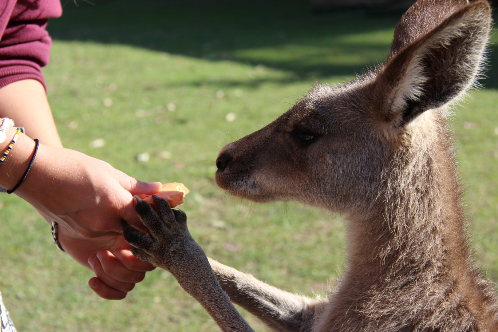 Begegnungen in Australien — Foto: For Family Reisen