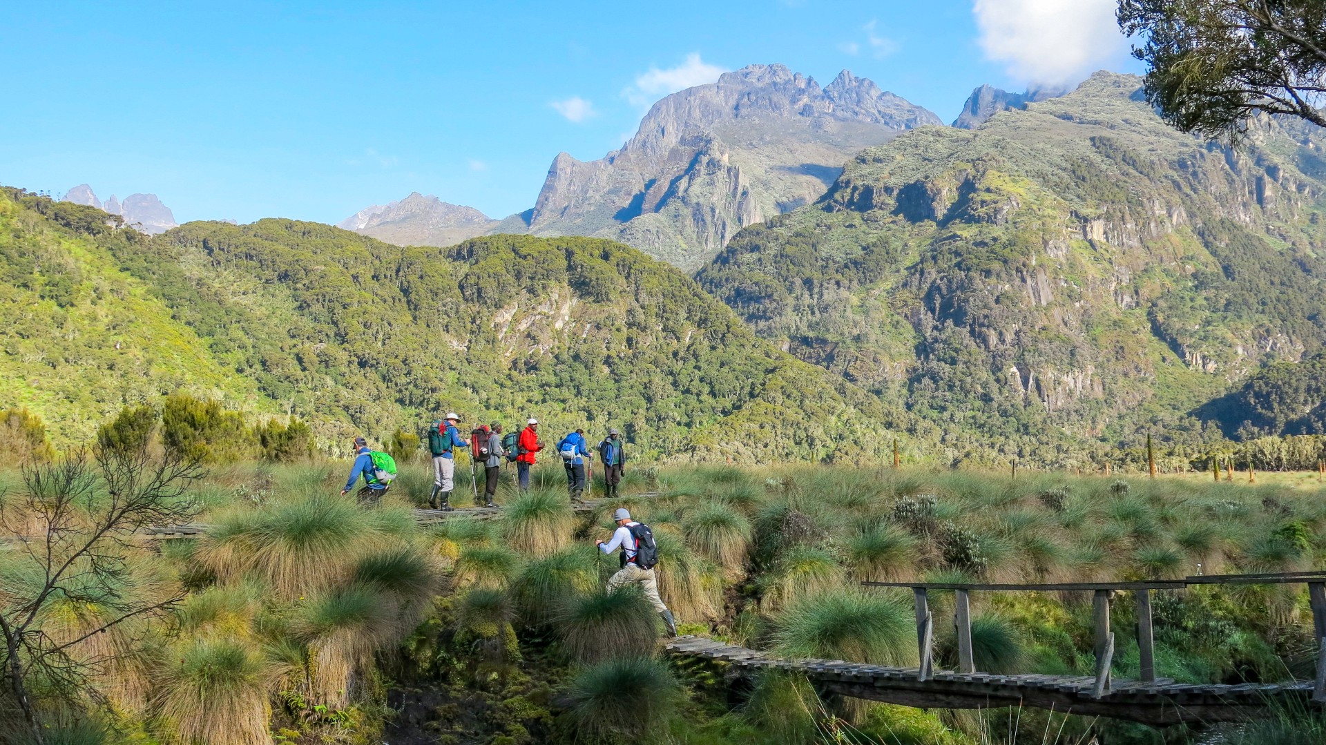 Uganda: Trekking im Ruwenzori-Gebirge — Foto: Weltweitwandern