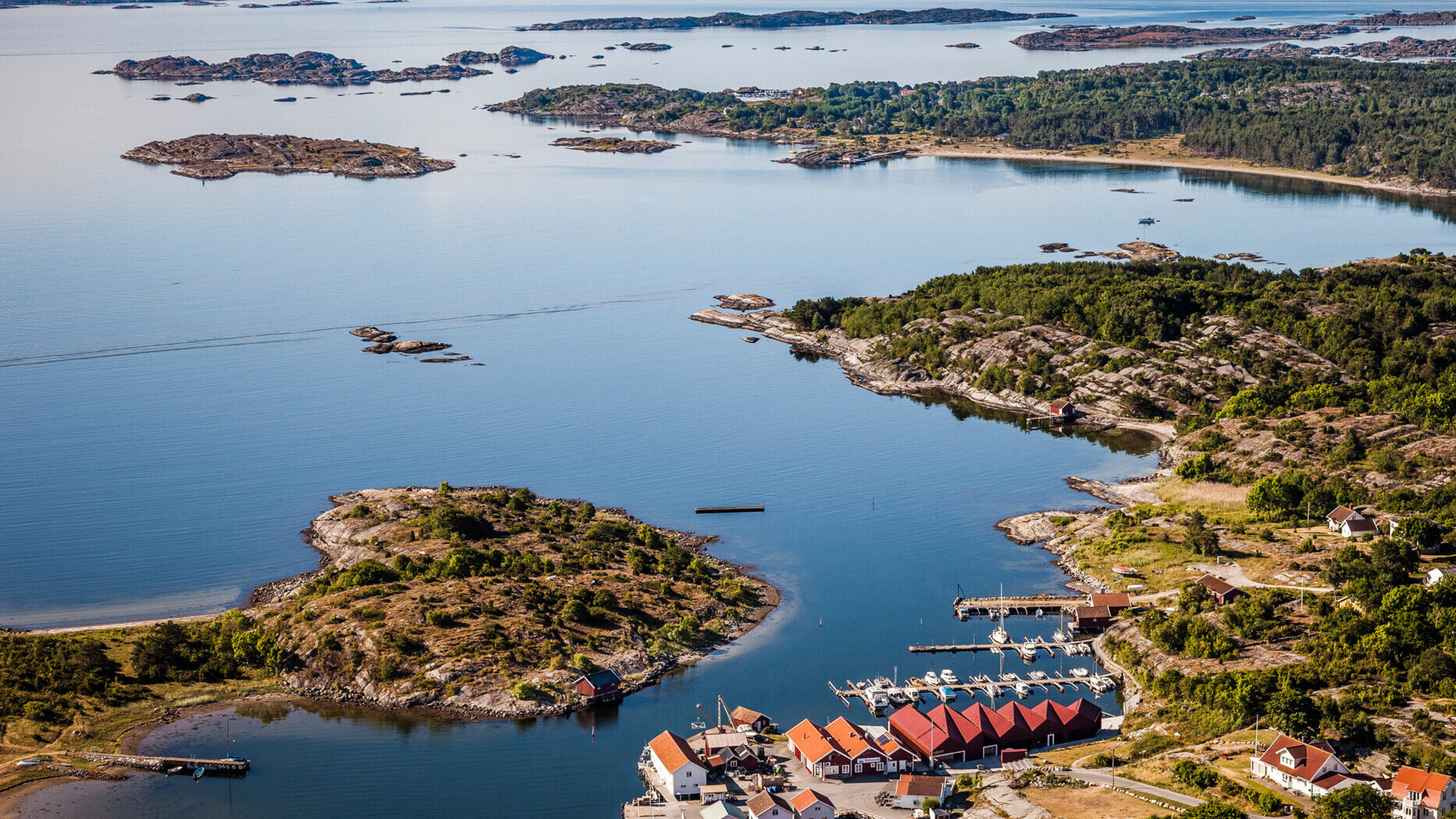 Kosterhavet, Marine Nationalpark — Foto: Per Pixel Petersson/imagebank.sweden.se