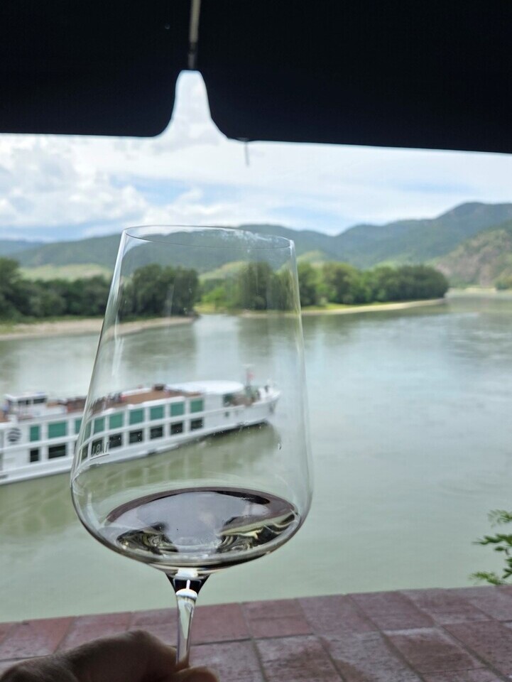 Blick auf die Donau — Foto: Christiane Reitshammer