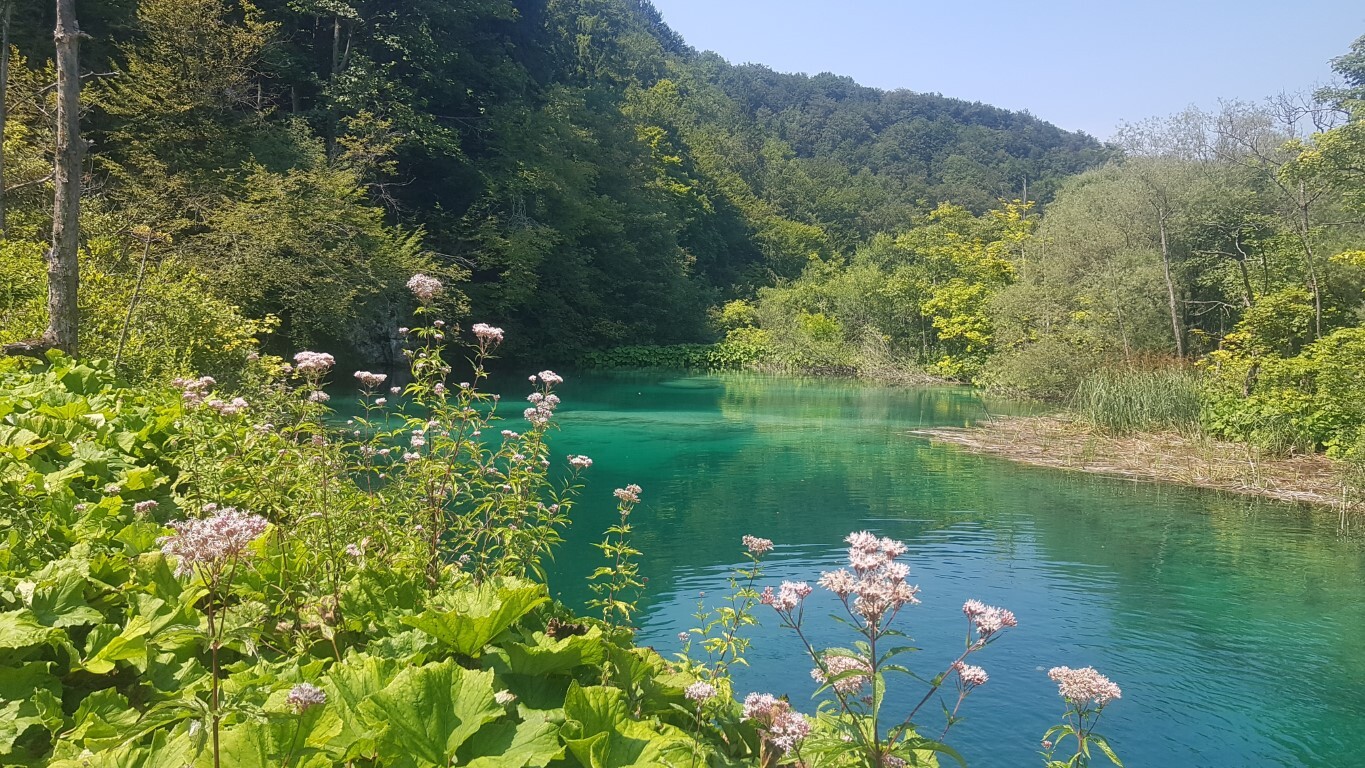 Nationalpark Plitvicer Seen — Foto: Martina Ehn