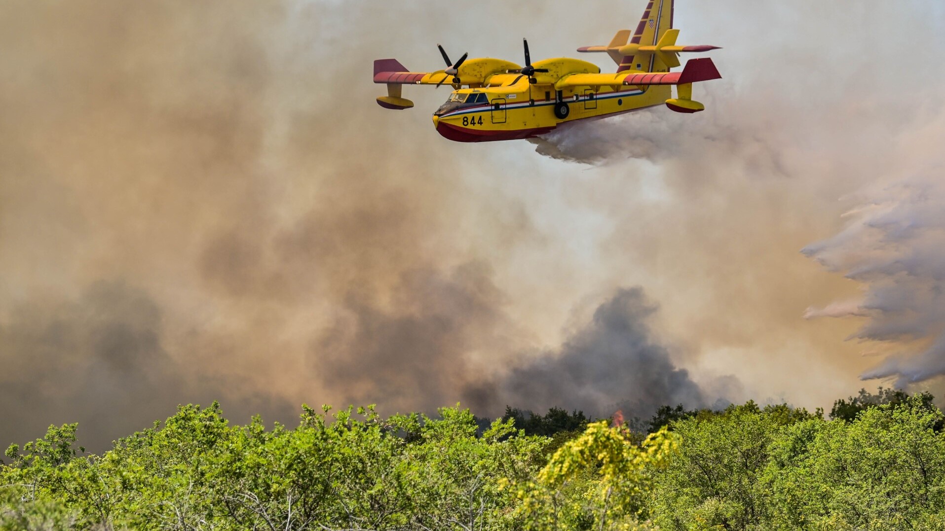 Löschflugzeug im Einsatz (Symbolbild) &mdash; Foto: Wirestock Creators / shutterstock.com
