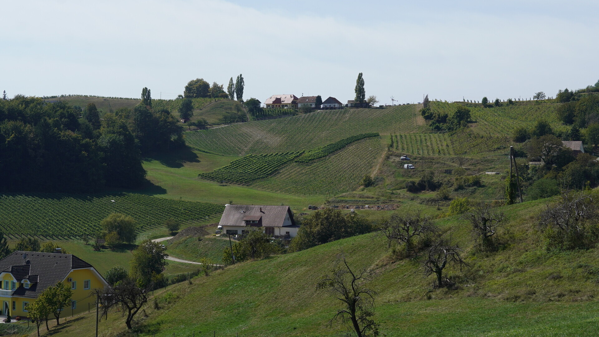 Ausblick vom Weingut Valdhuber — Foto: Christiane Reitshammer