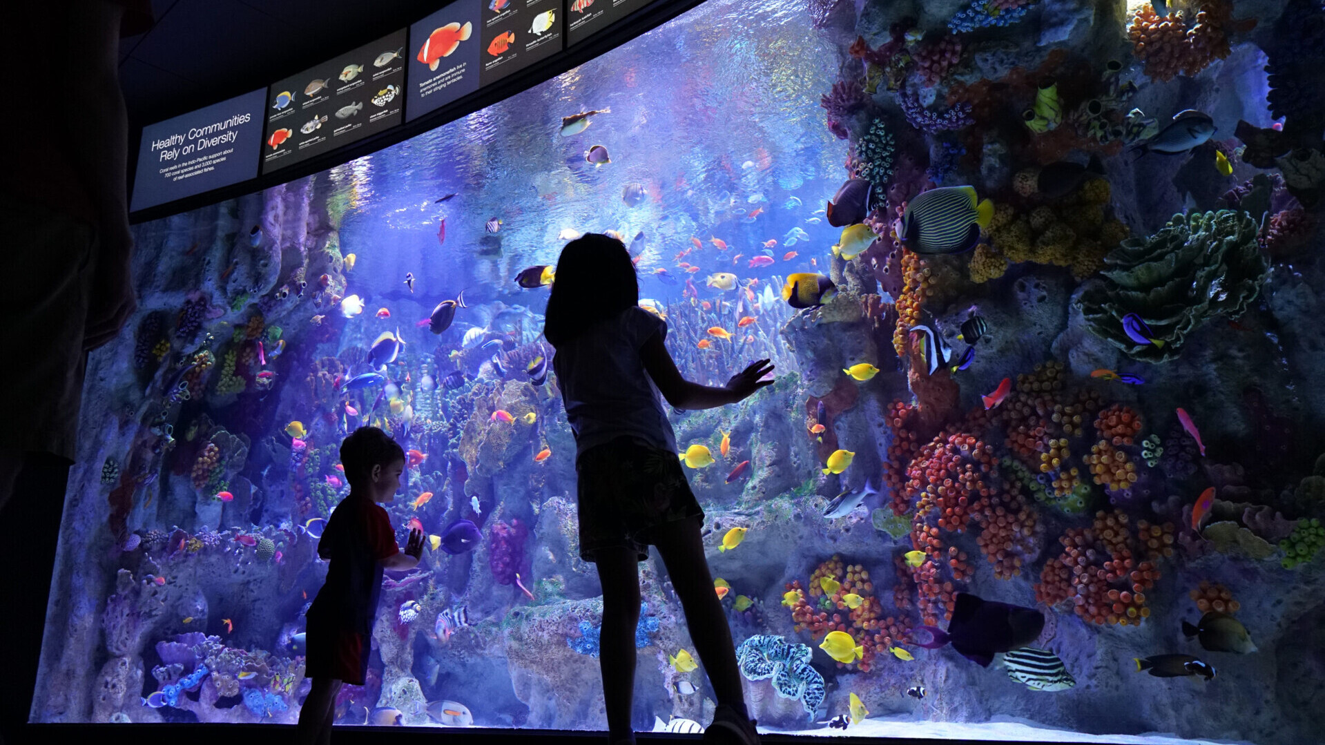 New England Aquarium   — Foto: Vanessa Kahn 