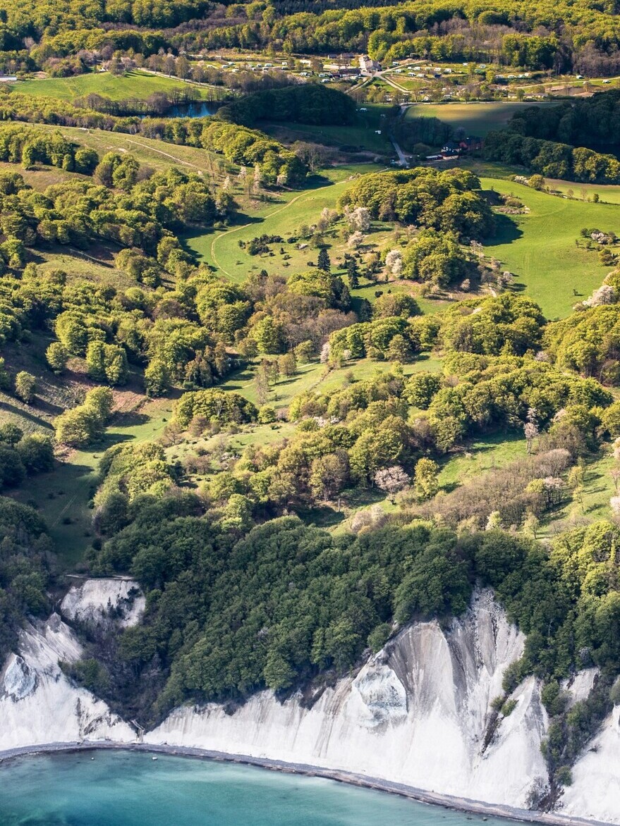 Die Weißen Kreidefelsen von Møn — Foto: Møns Klint Resort