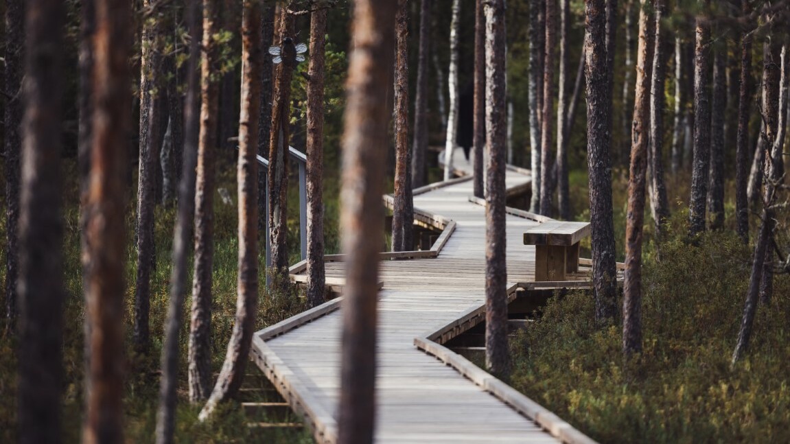 Südestland
 — Foto: Silver Gutmann / Visit Estonia 