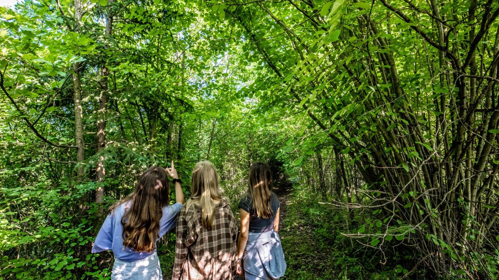 Naturerlebnisse für die ganze Familie — Foto: Waldness im Almtal / Monika Löff