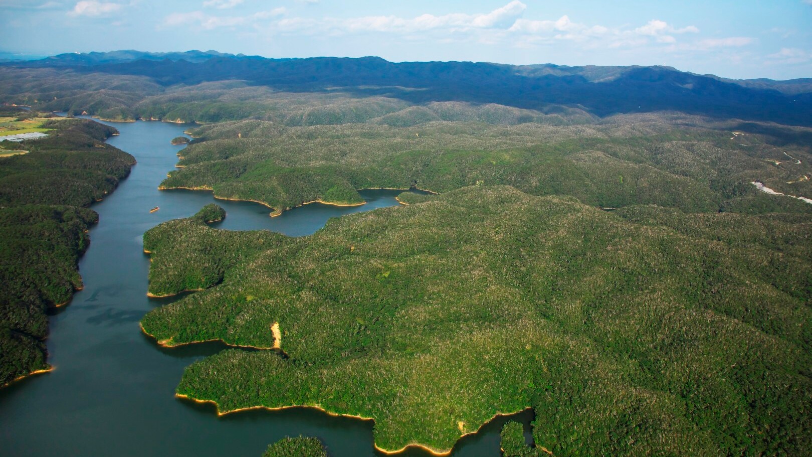 Yambaru Nationalpark —  Okinawa Convention & Visitors Bureau