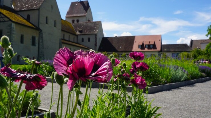 "Garten & Wein" auf der Insel Reichenau  — Foto: Irina Drewniok
