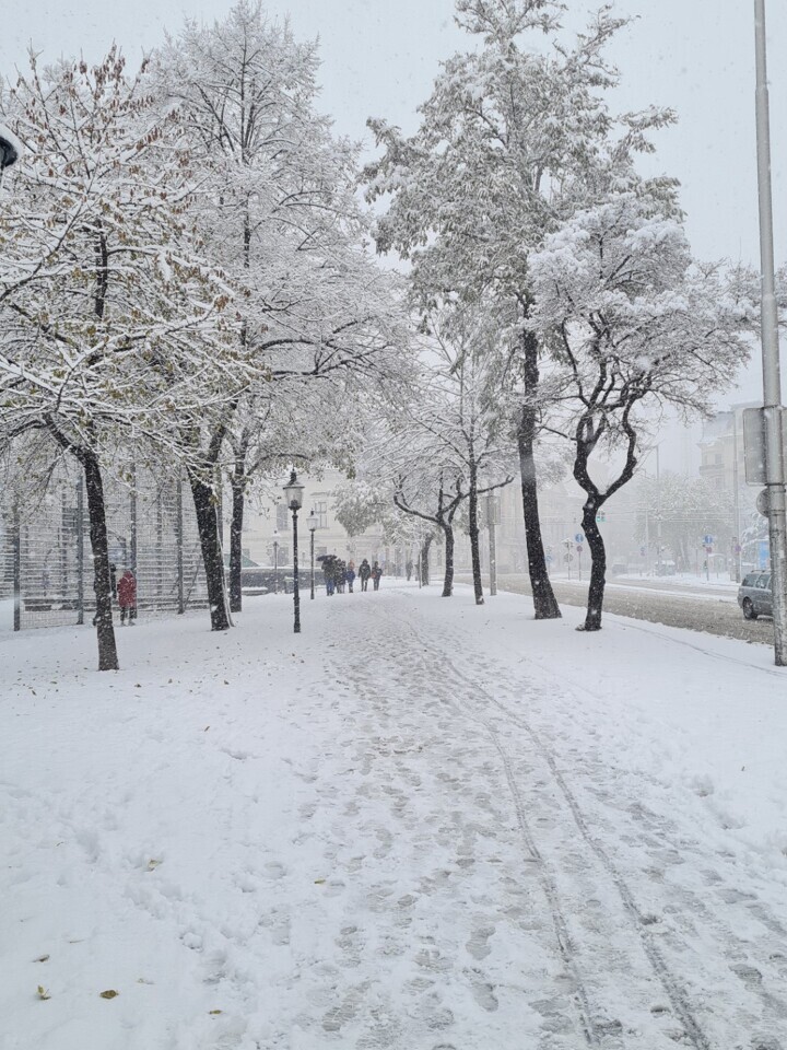 Winter in Wien (kann auch schön sein!) &mdash; Foto: Christiane Reitshammer