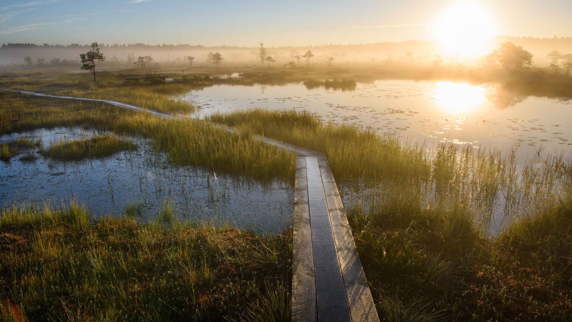 Soomaa National Park in Estland — Foto: Visit Estonia / Sven Zacek
