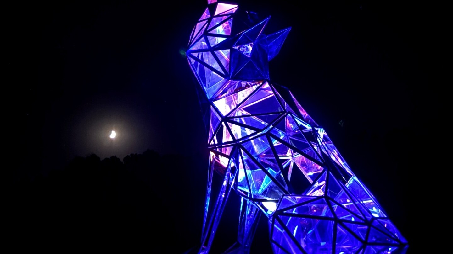 Eine der Installationen: Cosmic Wolf — Foto: Ryan Longo