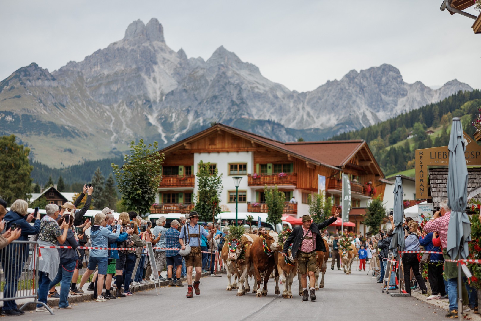 Tier und Mensch zurück in Filzmoos — Foto: mans / filzmoos.at